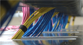 Networking cables